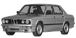 BMW E28 P0A8A Fault Code